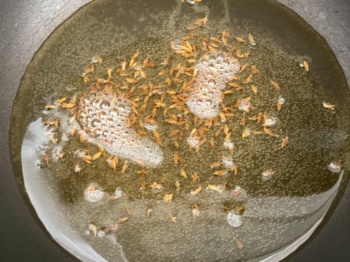 Ghee and Cumin seeds in a wok