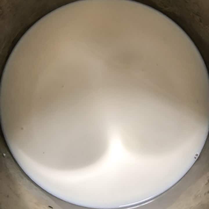 Boiling milk in Instant Pot
