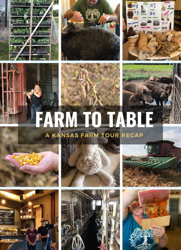 A collage of images from Kansas Farm Tour