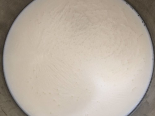 Milk poured into the instant pot and brought to a boil.