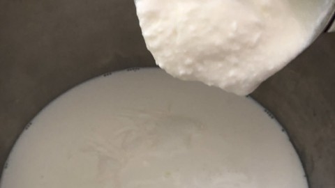 Yogurt being poured into the milk in the instant pot.