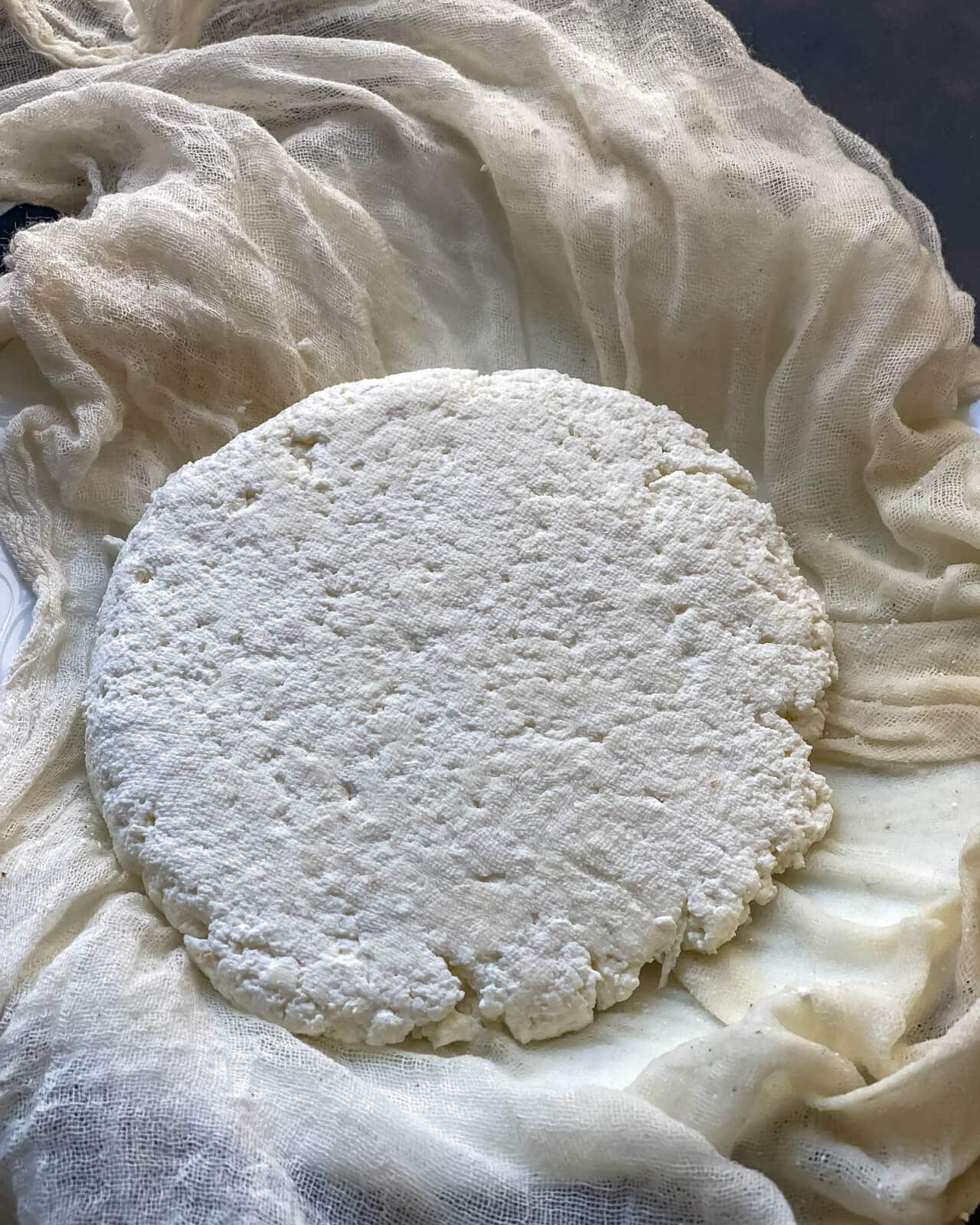 A wheel of paneer unwrapped from the cheese cloth.