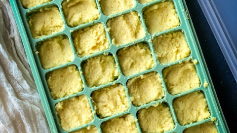 Ginger Garlic paste stored in ice cube tray