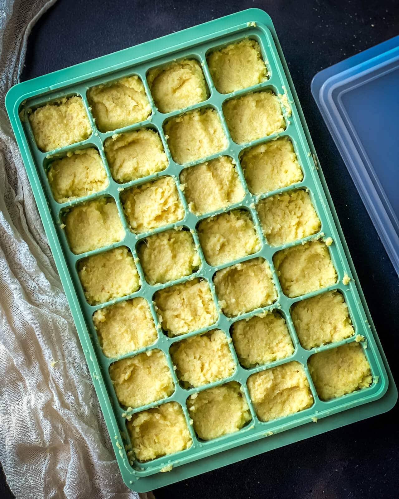Ginger Garlic paste stored in ice cube tray