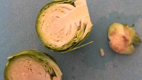 A blue cutting board with the end trimmed off a Brussel sprout and the Brussel sprout cut lengthwise.
