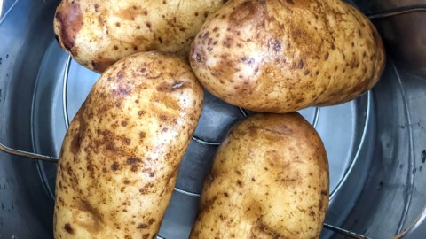 Four potatoes on a trivet inside the instant pot before cooking.
