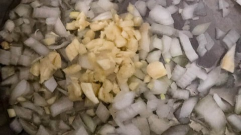 Garlic and onion before cooking in the instant pot.