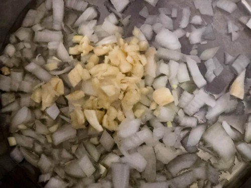 Garlic and onion before cooking in the instant pot.