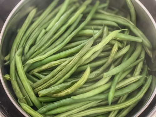 Green beans after steaming in the instant pot.