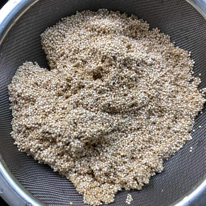 Quinoa in a mesh strainer after being rinsed.