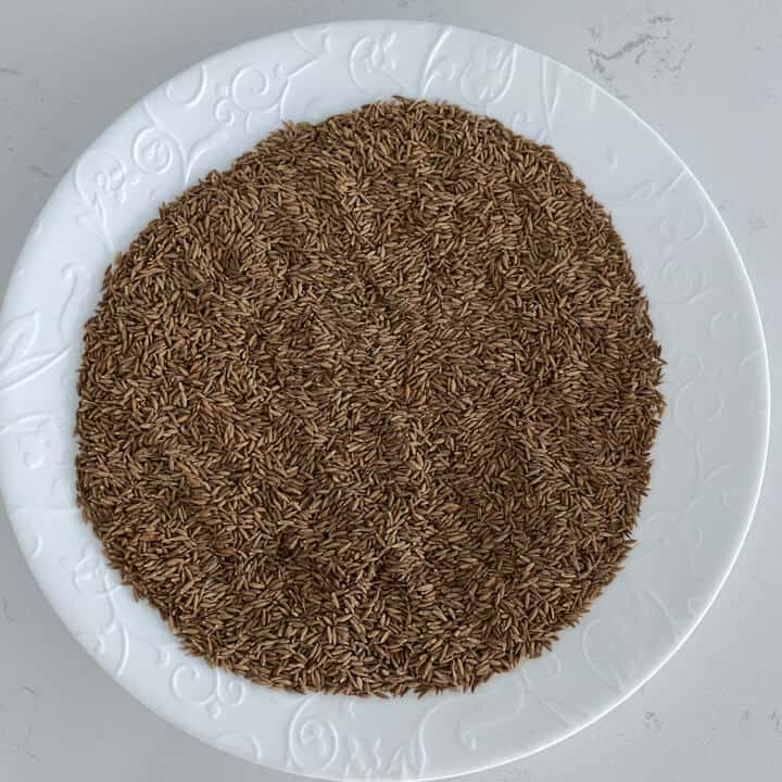 A white plate with toasted cumin seeds while they cool.