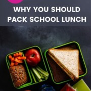 School lunch image with caption 10 Reasons for packing school and work lunches