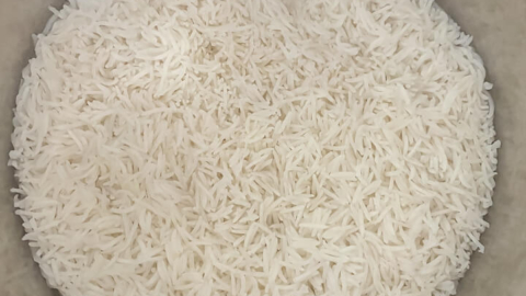 dry basmati rice added to instant pot insert