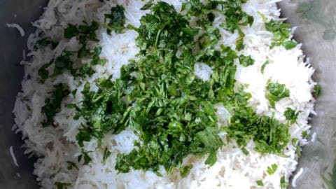 Chopped fresh cilantro added to cooked lime basmati rice inside of instant pot insert