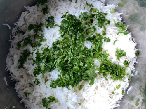 Chopped fresh cilantro added to cooked lime basmati rice inside of instant pot insert