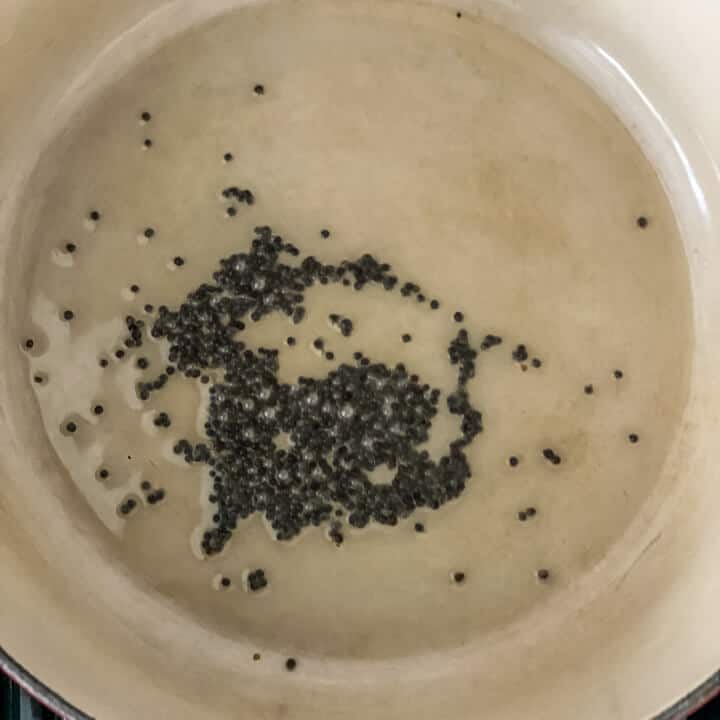 Add mustard seeds to hot oil