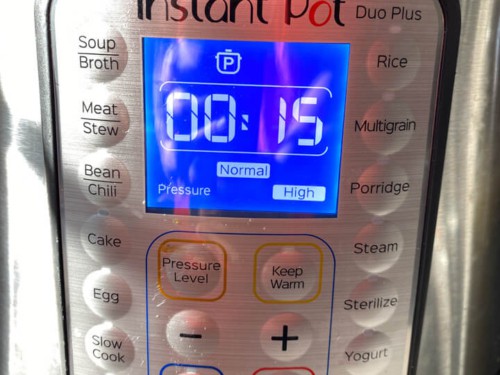 Instant Pot Timer set to 15 minutes