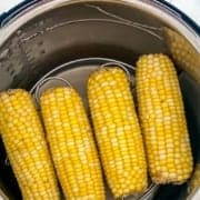 Four cobs of corn inside of an Instant Pot.