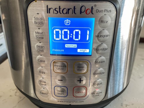 An Instant Pot with the timer set for "1 minute"