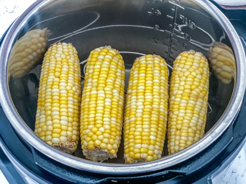 Cobs of corn, fully cooked in an Instant Pot.