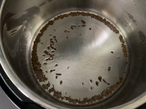 Adding cumin seeds to a pot with hot oil.