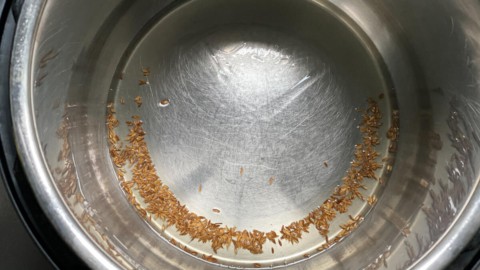Cumin seeds in the base of the instant pot.