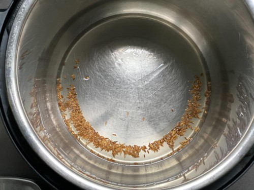 Cumin seeds in the base of the instant pot.