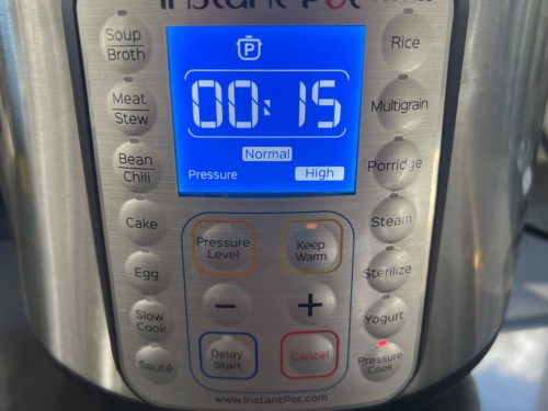 The Instant Pot with a 15 minute timer.