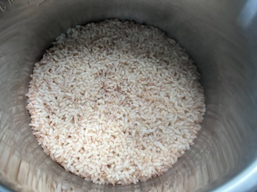 Cooked matta rice in the inner pot of the Instant Pot.