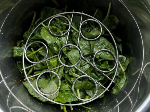 Spinach and a trivet on top of the spinach.