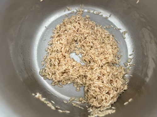 Rice that has been sautéed in an Instant pot.