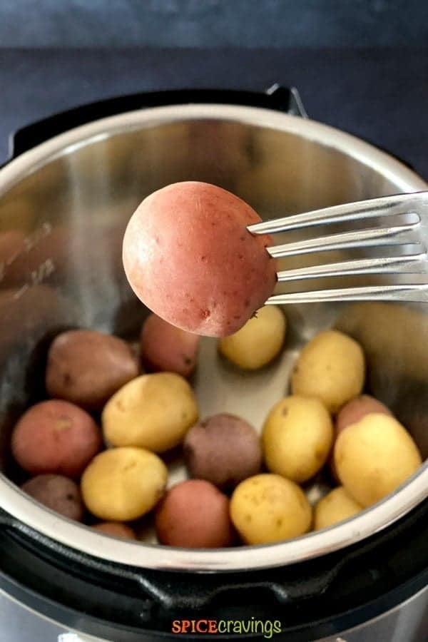 A fork pierced into a baby potato