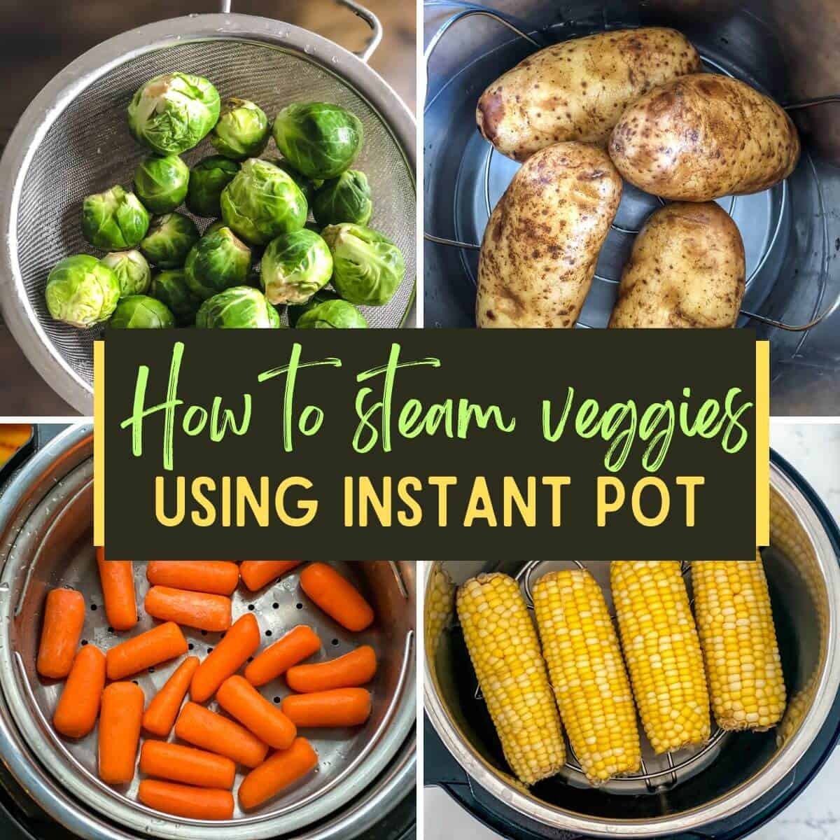 Instant Pot steamed vegetables – a complete guide